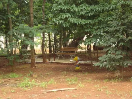 Projeto de chácara com madeiras Wood Fort, foto 32